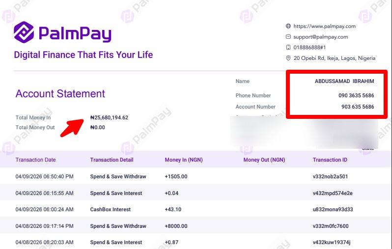PalmPay account statement showing ₦25,680,194 deposited